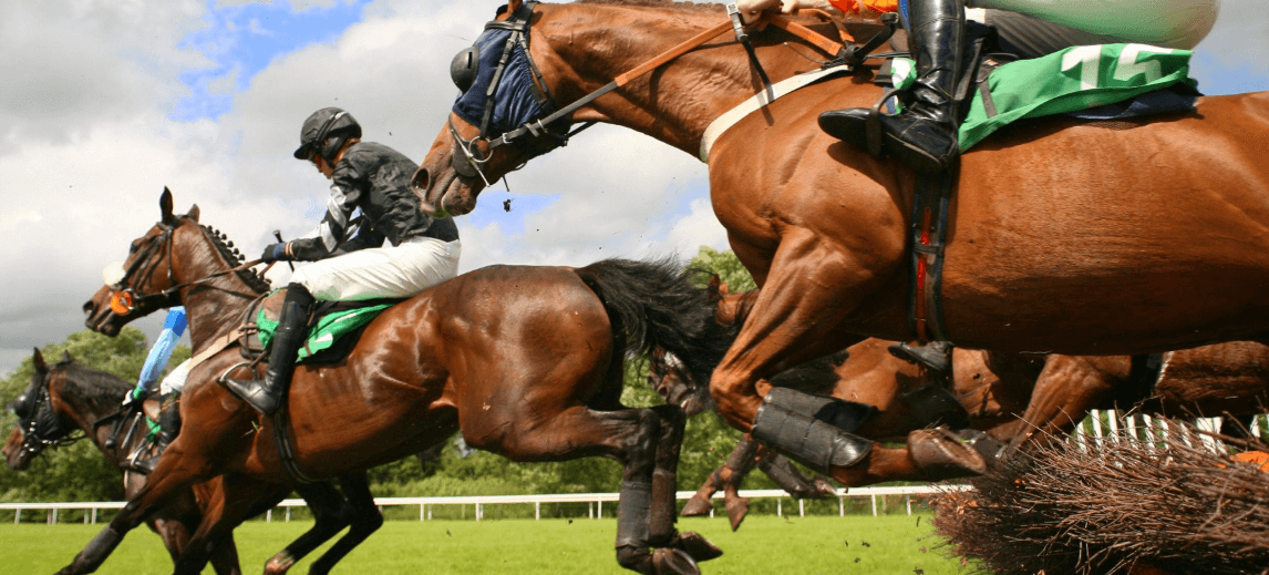 How Horse Racing Breeds Influence Performance