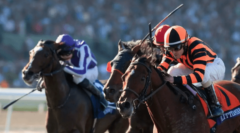 How Horse Racing Is Governed: Rules and Regulations