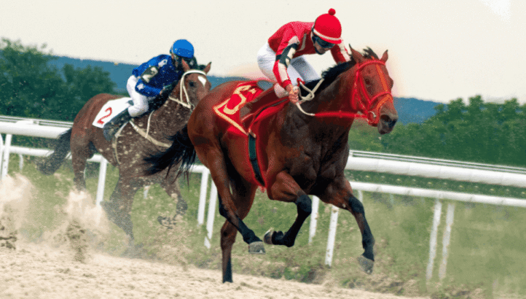 How Horses Are Selected for Racing: The Process Explained