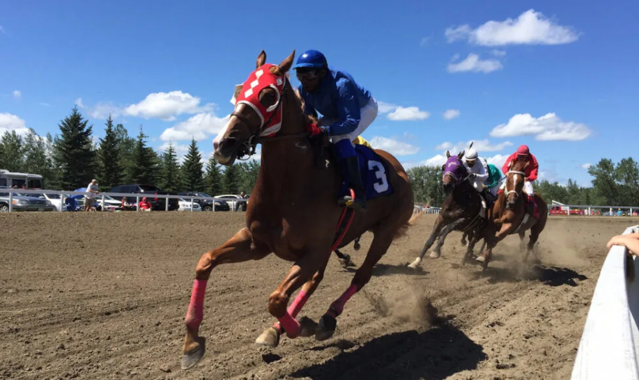 How to Bet on Horse Racing: A Beginner's Guide