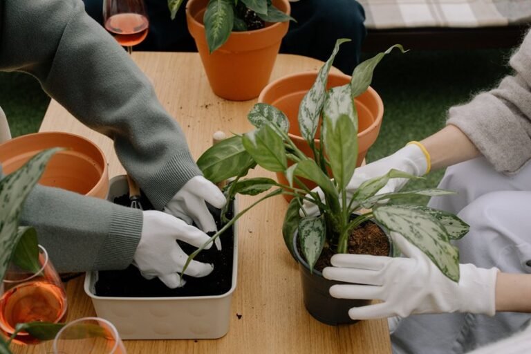 new gardening product x benefits